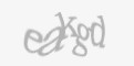 Защитный код